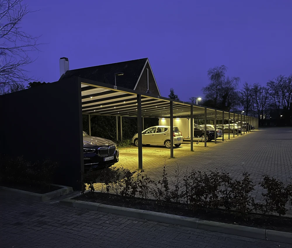 Carport eller Garasje