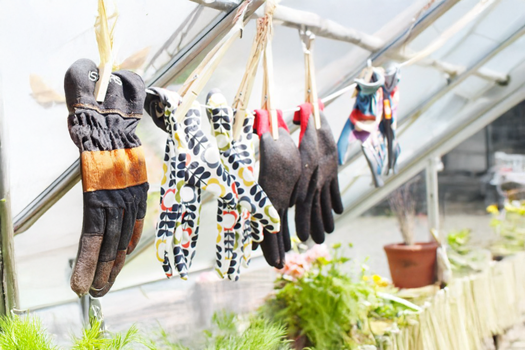 rengjøre drivhus i glass eller polykarbonat