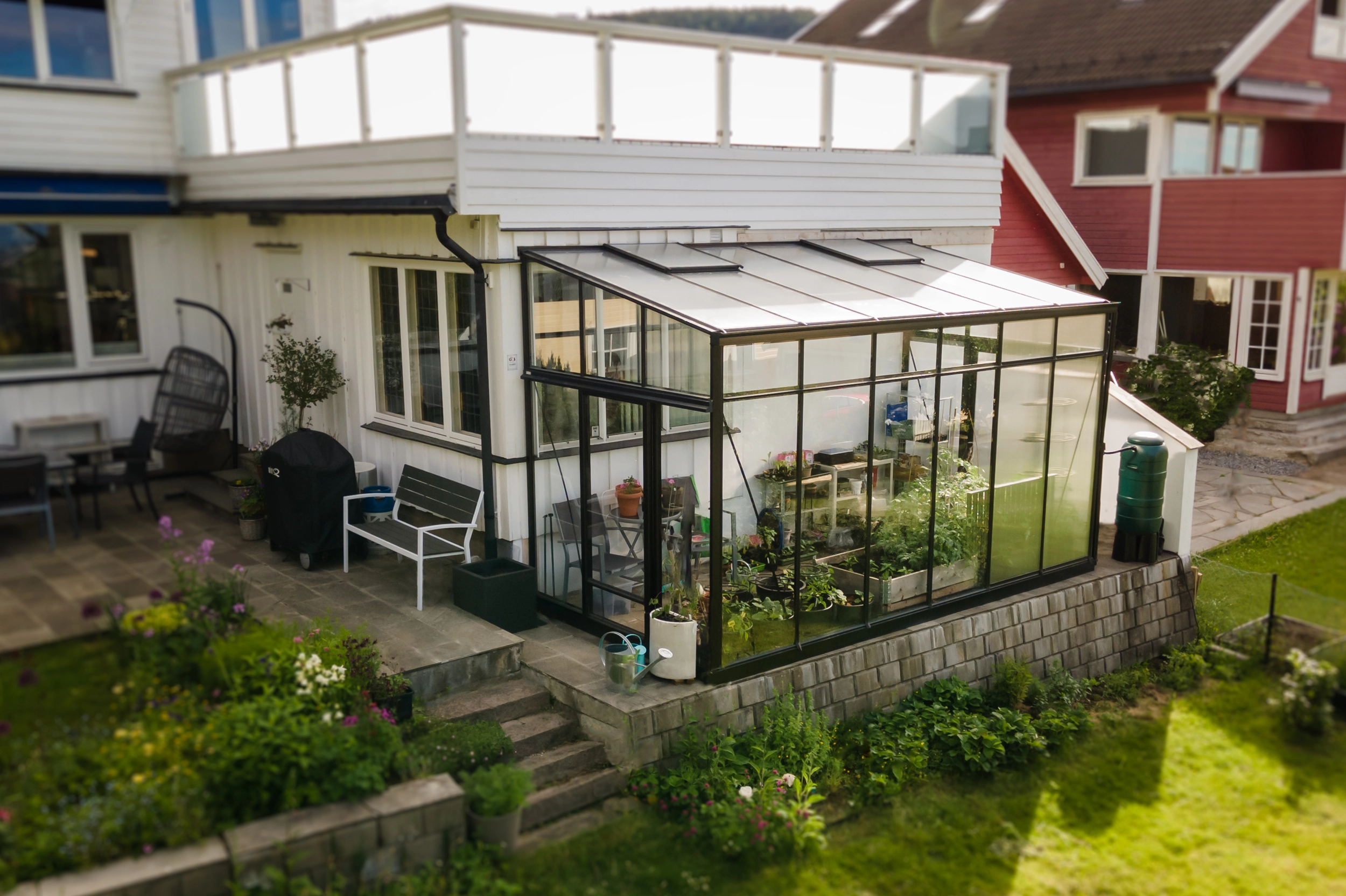 Veggdrivhus - Amatør 233 - Bilde 4