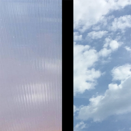 Drivhus orangeri - Sirkel 300 - Bilde 8