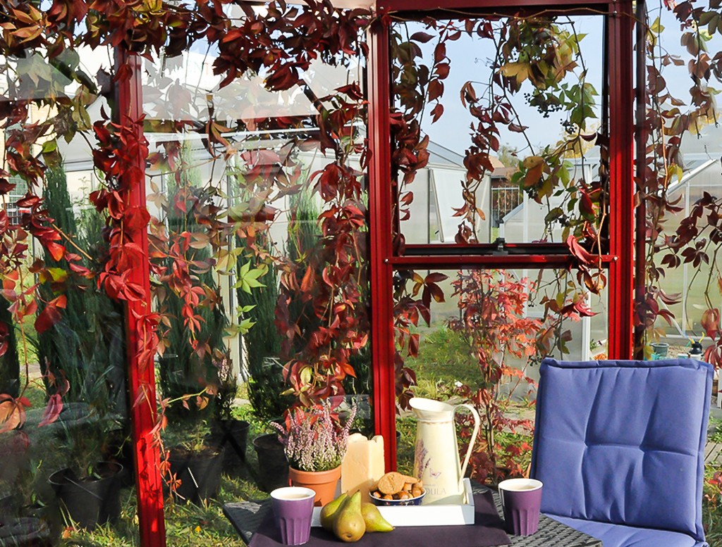 Drivhus orangeri - Sirkel 460 - Bilde 3