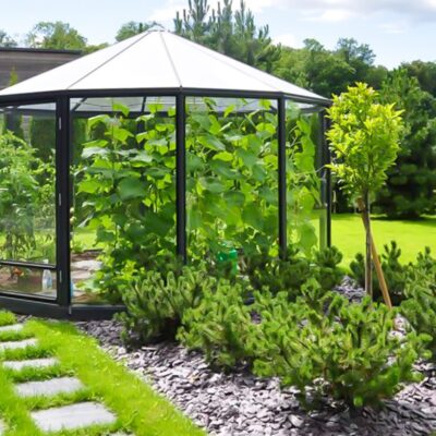 Drivhus orangeri - SIRKEL